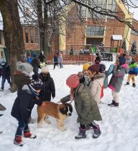 Zajęcia dogoterapii w przedszkolu